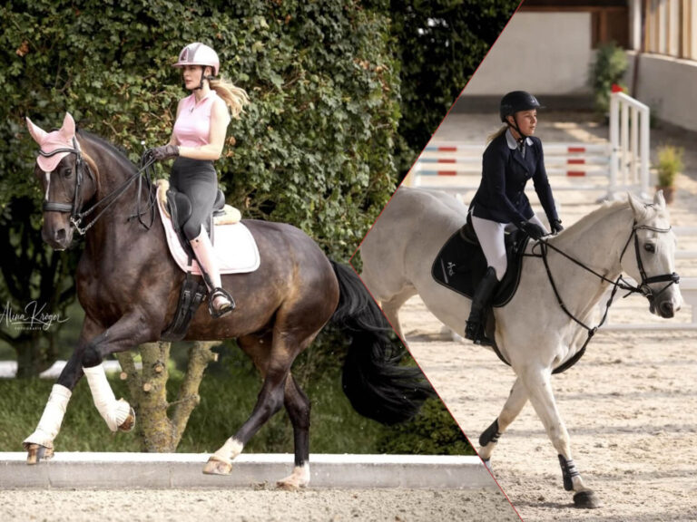 Gina Hanauer – Offizielle Informationen, Karriere und Reitsport im Überblick gina hanauer